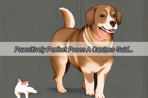 Pawsitively Perfect Poses A Canines Guide to the Ultimate Photo Adventure